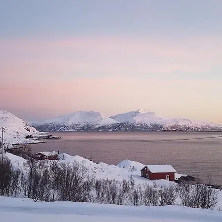 度假居 Discover The Ultimate Aurora Escape With A Cozy Outdoor Sauna And Hot Tub *