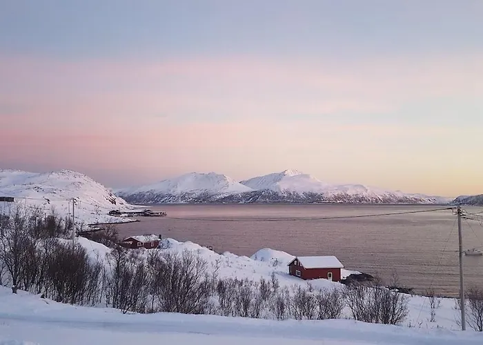 Hébergement de vacances Discover The Ultimate Aurora Escape With A Cozy Outdoor Sauna And Hot Tub